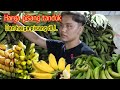 HARGA PISANG TANDUK DLL DI PASAR INDUK KERAMAT JATI