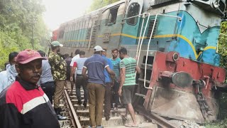 Sri Lanka train derails after smashing into elephants | AFP