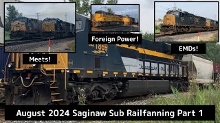 C&O Heritage Unit, Foreign Power, EMDs, and More! August 2024 Saginaw Sub Railfanning Part 1