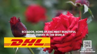 Deliver the best flowers of the world door-to-door with DHL | Fast Shipping to the U.S. \u0026 Canada