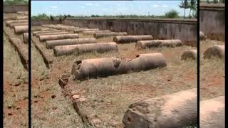 (048)  வீரபாண்டிய கட்டபொம்மனோடு போரிட்டதில் கொலலப்பட்ட வெள்ளைக்கார போர் தளபதிகளின் கல்லறைத் தோட்டம்.