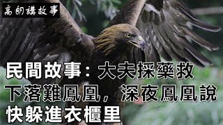 民間故事：大夫採藥救下落難鳳凰，深夜鳳凰說：快躲進衣櫃里｜高朗講故事