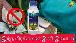 MOVENTO ENERGY FOR BLACK THRIPS |GREEN CHILLI RED MITES & THRIPS | BAYER | கருப்பு பேன்களை அழிக்க