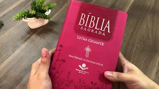 Bíblia Sagrada | NTLH | Letra Gigante | Pink | Luxo Com Índice