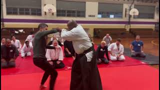 Abbreviated Nikkyo - Aikido at Dojocon 2024