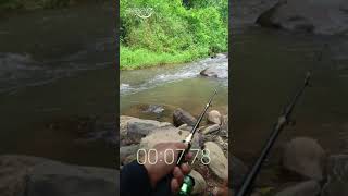 MOMENT LANGKA SAAT MNACING IKAN #fishing #mancing #ikan #angler #pancing