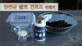 발효신문 황세란유인균 발효연구원 아기 이유식 시리즈 '유인균 발효 건포도' 만들기