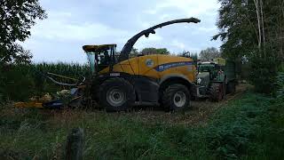 Loonwerken Eylenbosch mais hakselen met New Holland FR 780