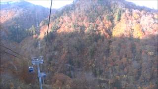 美しい紅葉 2014　新潟県なえば高原 ドラゴンドラ