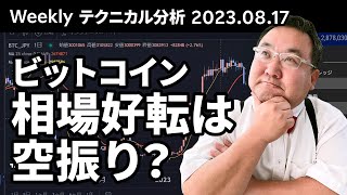 マトリックス法によるテクニカル分析（2023/8/17）ビットコイン、相場好転は空振り？