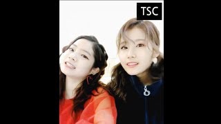 TSC)항상 사이좋은(?) 사이다 커플~! (feat. 말릴수 없는 텐션) - Twice Sana \u0026 Dahyun