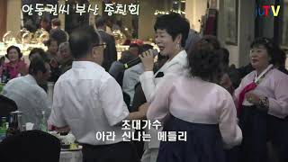 초대가수아라 디스코메들리/안동권씨/부산종친/44회총회/2020.06.27