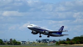 全日空(ANA) A320-200＠仙台空港