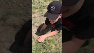 Catching a gopher!