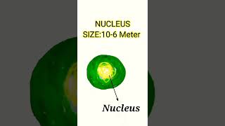 Molecular Basis of Inheritance (CELL,DNA ,PROTEIN) #cell #protein #Biology #neet #neet2023  #shorts