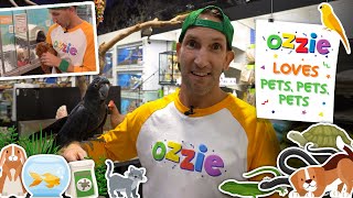 Pets For Kids | Pet Store Visit With Ozzie | Learn About Lots of Different Animals