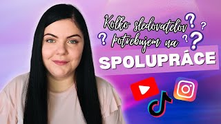 Chcem sa stať INFLUENCEROM! Aké sú typy influencerov a kedy získam platené spolupráce? | SoStar