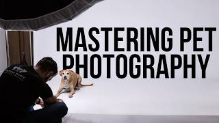 How To Master Pet Photography