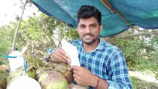 కొబ్బరి బొండ అమ్మే నాకు Google pin |vlog|vlog in telugu