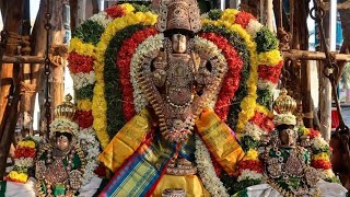 திருக்குடந்தை 🍃ஸ்ரீவிஜயவல்லி தாயார் சமேத ஸ்ரீசக்ரபாணி ஸ்வாமி 🍃மாசி மகப் பெருவிழா 2022