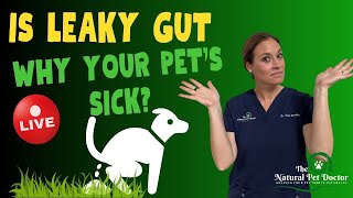 Is Leaky Gut Why Your Pets Are Sick?