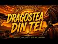 Dragostea Din Tei (Afro House Remix 2026) 🌅 Savannah Vibes