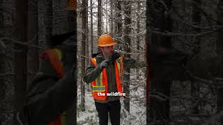 We've Been Making Wildfires Worse For 100 Years #wildfire