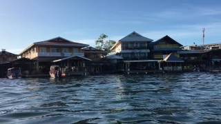 The Beach Palm Co. Panama -Bocas del Toro - DST