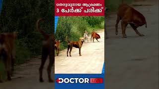 വീണ്ടും തെരുവുനായ ആക്രമണം, 3 പേര്‍ക്ക് പരിക്ക്‌ #shorts #straydogattack #straydogs #healthnews