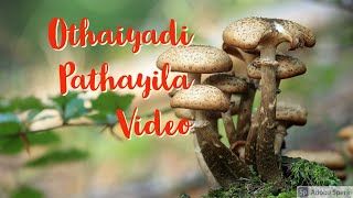 Kanna - Othaiyadi Pathayila Video song | Arunaraja Kumaraj | Dhibu  Noman Thomas