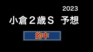 【競馬予想】  小倉2歳ステークス  2023  予想