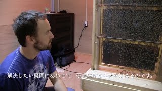 Ecology and Evolution Unit Introduction Video 生態・進化学ユニット紹介ビデオ