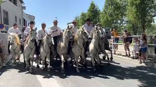 LUNEL Fête votive 2022 - Attrapaire abrivado bandido