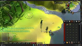 5 Second Fairy Ring Guide