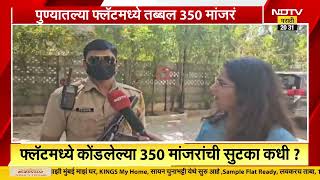 NDTV Marathi Special Report| पुण्यातल्या फ्लॅटमध्ये तब्बल 350 मांजरं, काय आहे हा प्रकार?