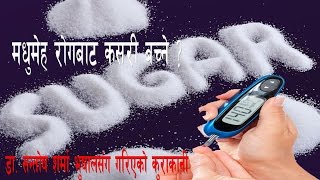 What is Diabetes (Sugar) ? के हो मधुमेह रोग ? कसरी बच्ने ? Interview with Dr. Santosh Sharma Bhusal