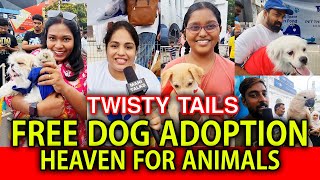 FREE DOG ADOPTION | TWISTY TAILS | HEAVEN FOR ANIMALS | HAPPY STREET MOUNT ROAD | #dogs #streetdogs