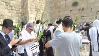 The meaning of the word Hosanna in the Jewish liturgy. Sukkot. The Western Wall, Jerusalem