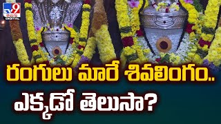 రంగులు మారే శివలింగం.. ఎక్కడో తెలుసా? - TV9