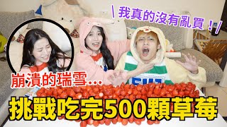 【放火】親愛的姊姊說她想吃草莓，那就買500顆給她吧！