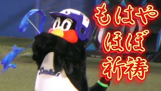 2022/10/23 つば九郎 もはやリボン演技でなくほぼ祈祷になる