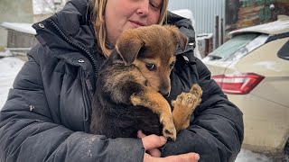 At the very last moment, love saved the puppy from being put to sleep...