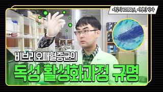 비브리오패혈증균의 독성 활성화 과정 규명 - 이영진 박사