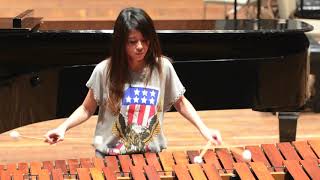 Nebojsa Jovan Zivkovic's Ilijas for solo marimba