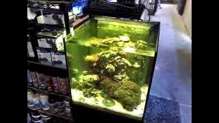 EcoTech Marine Radion XR30w Powered Reef