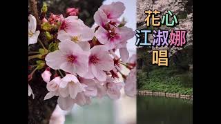 花心 江淑娜唱