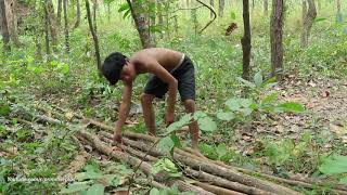 Primitive Solution, The way to living And Build House in the Forest, Real Life in the forest