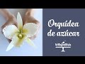 Cómo hacer una Orquídea de Azúcar