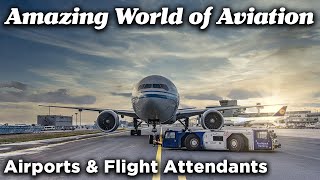 Airports & Flight Attendants - The Amazing World of Aviation