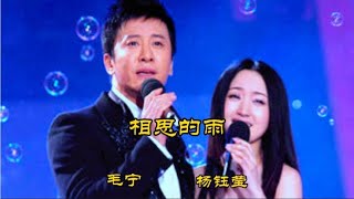 杨钰莹\u0026毛宁配音《相思的雨》，句句戳心，感动了多少有情人！